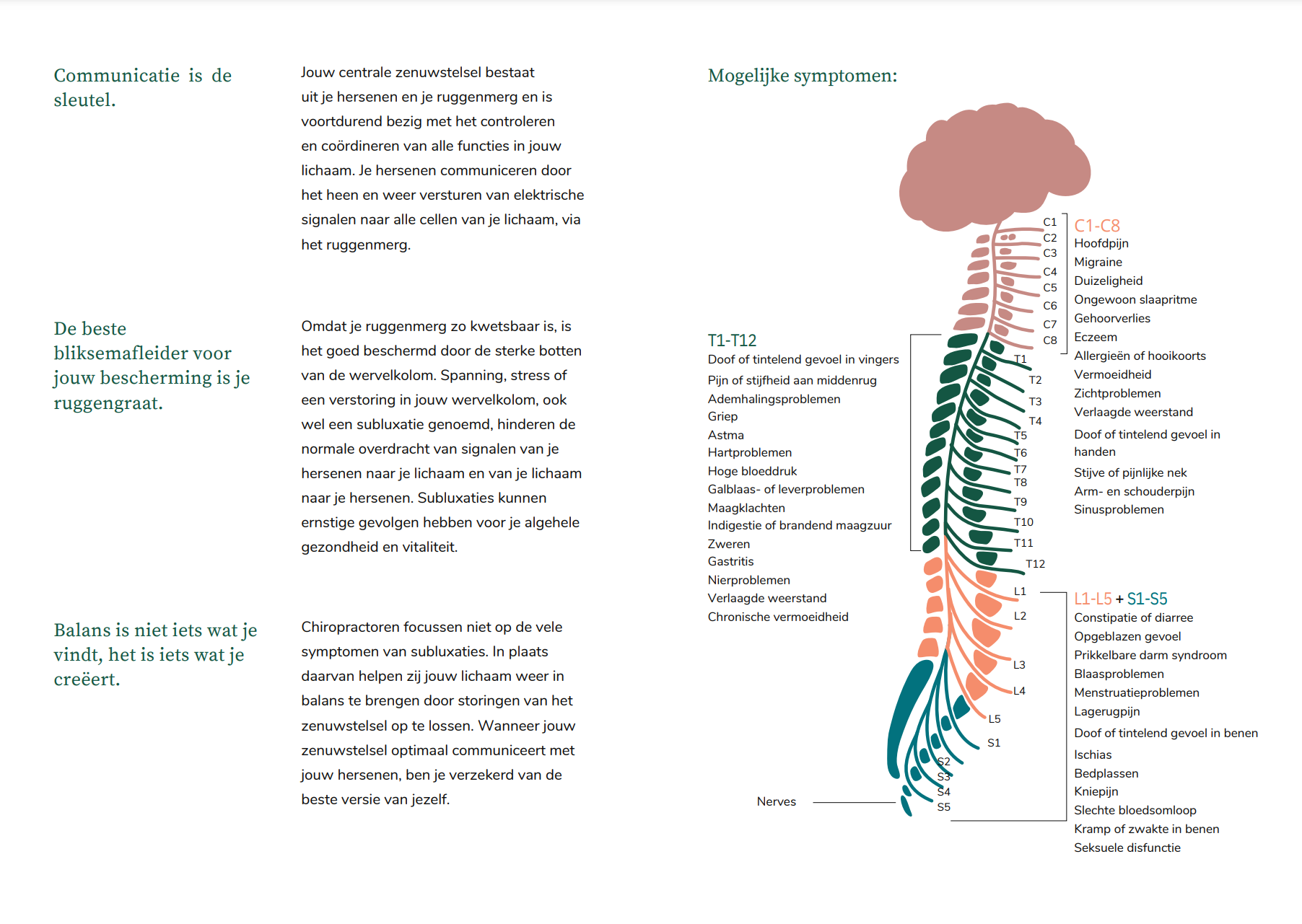 Education Booklet Sample 