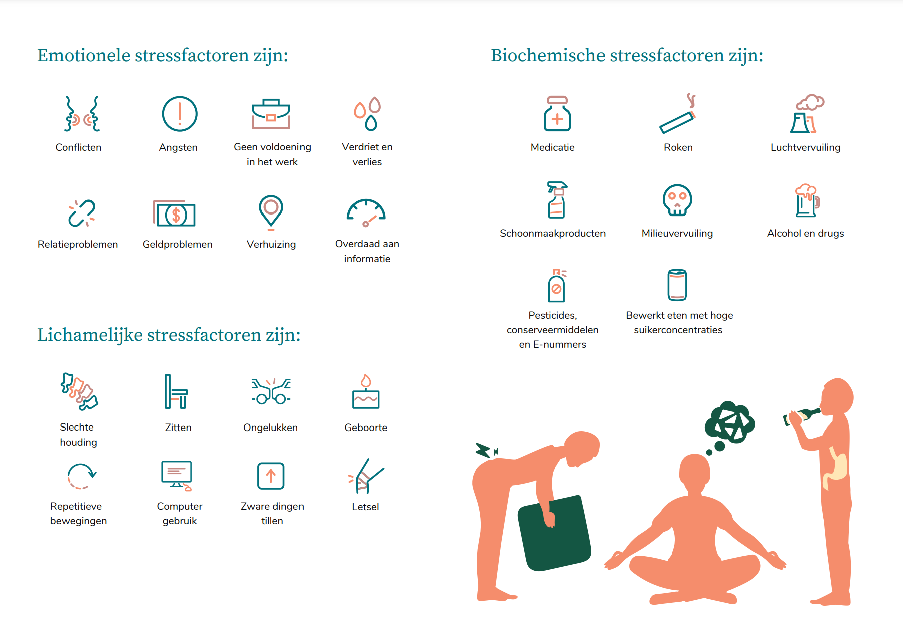 Education Booklet Sample 